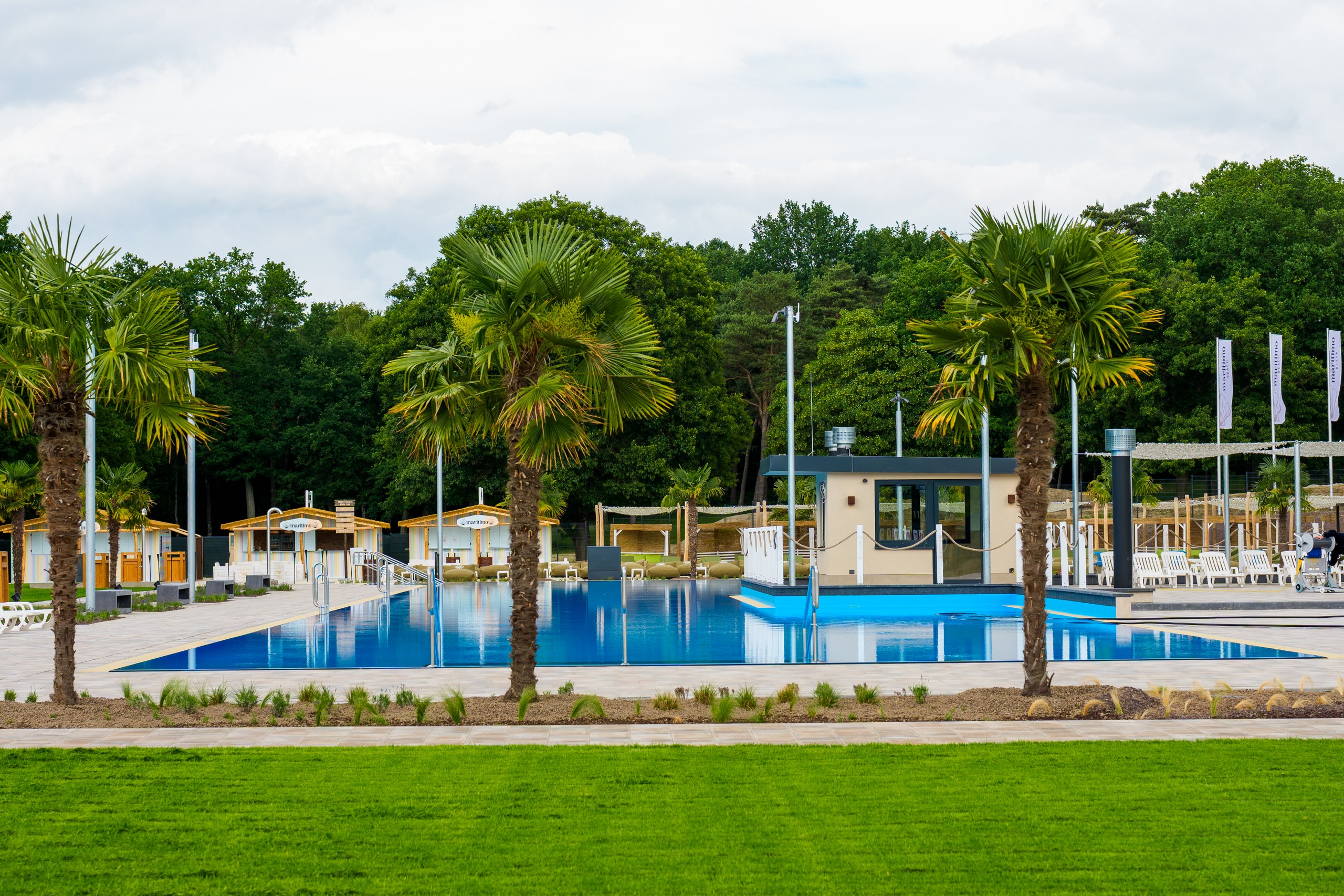 Ruhiges Freibad mit blauem Becken, Palmen und Liegen vor Waldkulisse